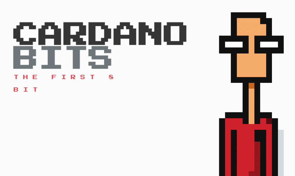 Cardano Bits
